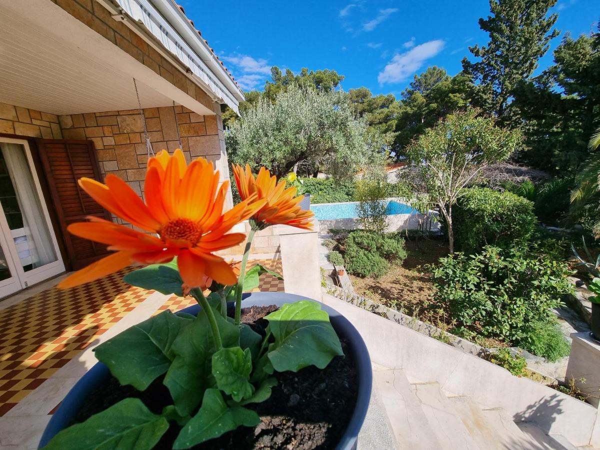 Villa Ilaria Bol Exterior foto
